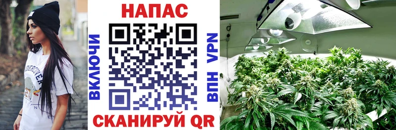 Купить где  Баксан  Каннабис марихуана 